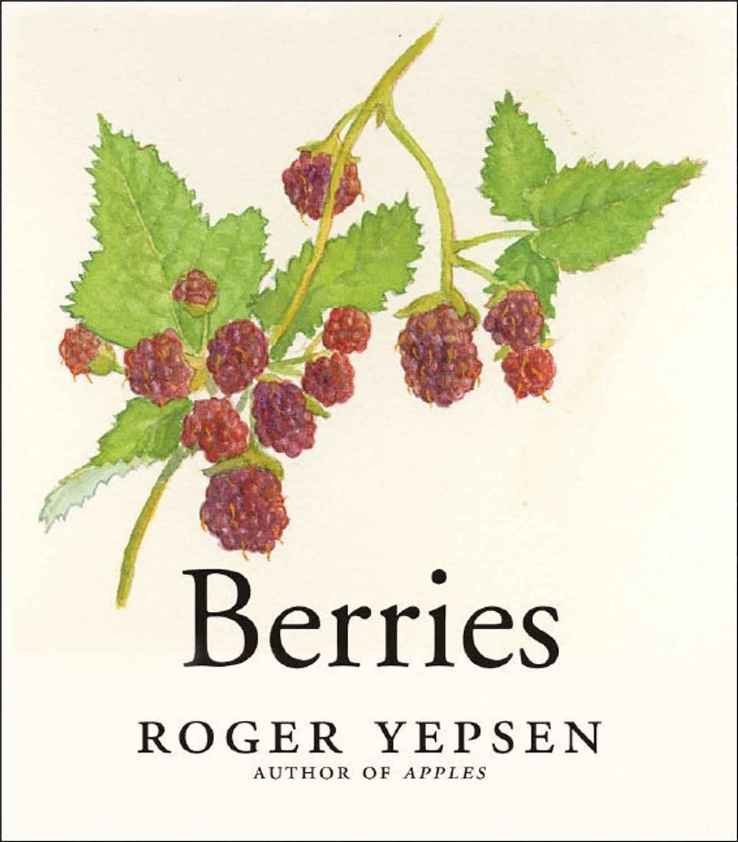 Book Review Berries by Roger Yepsen A Great Number of Things